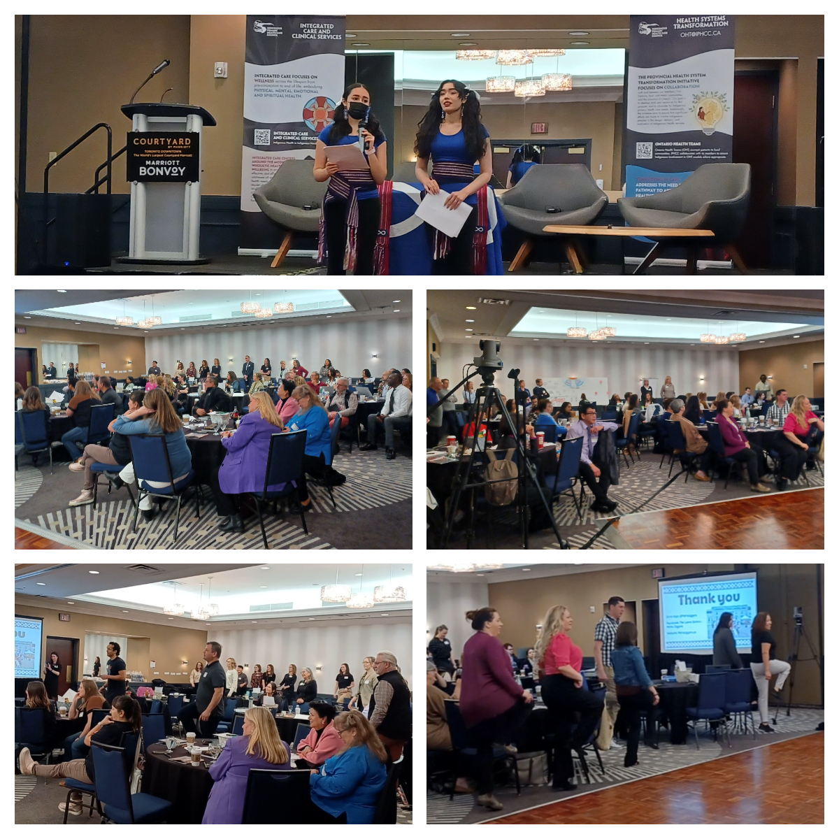 Indigenous Primary Health Care Council